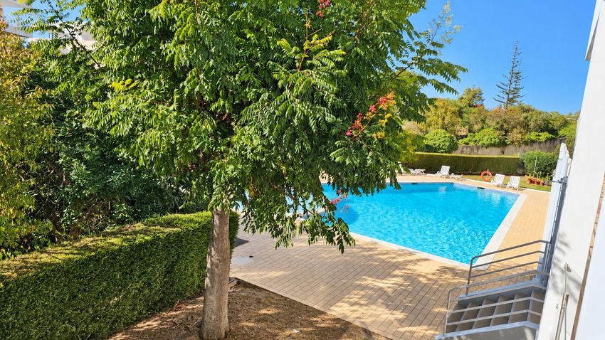 Imagem Piscina de apartamento t1 em Rua do Ribeiro