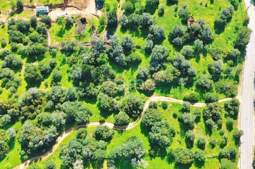 Зображення Земельна ділянка, земельна ділянка, Estrada do Poço Novo