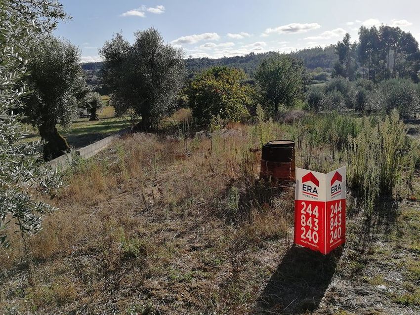 Imagem de terreno em Santa Eufémia e Boa Vista