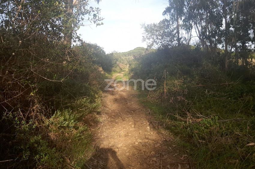 Imagem Terreno de terreno em Acesso Particular