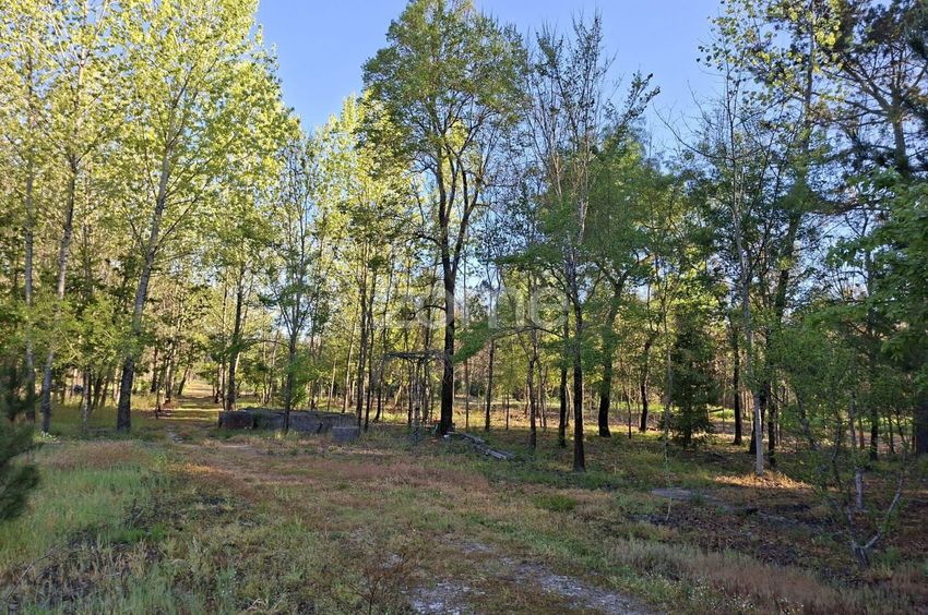 Imagem Terreno de terreno em Palhaça