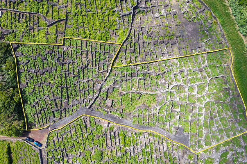 Imagem de terreno em Madalena
