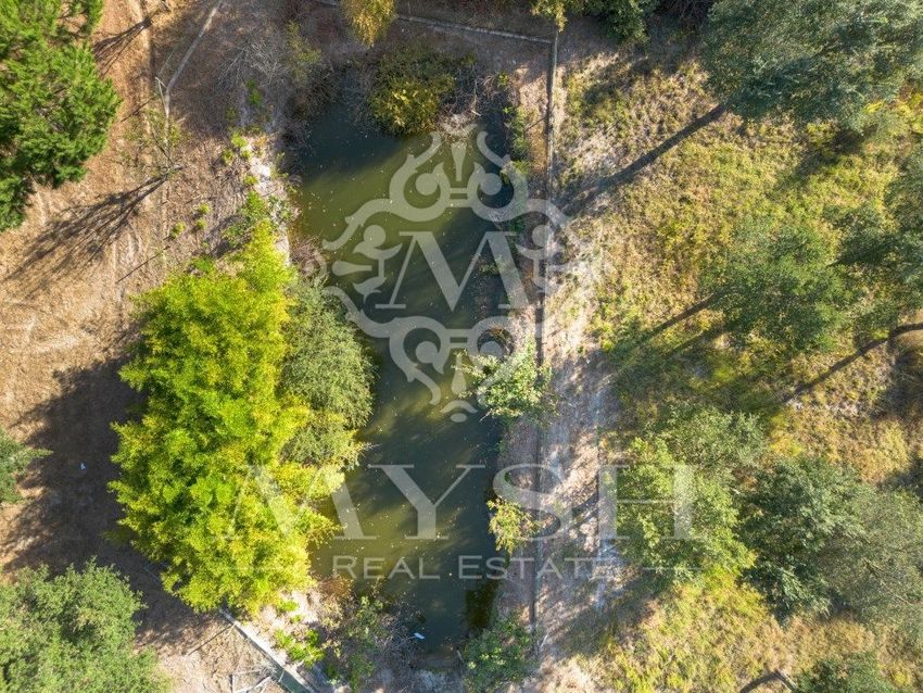 Imagem de terreno em São José da Lamarosa