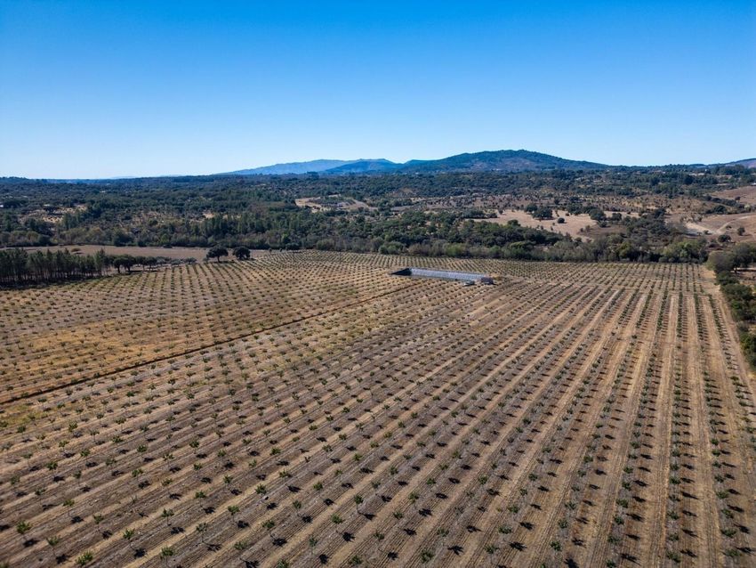 Imagem Vistas de espaço comercial em Meimoa