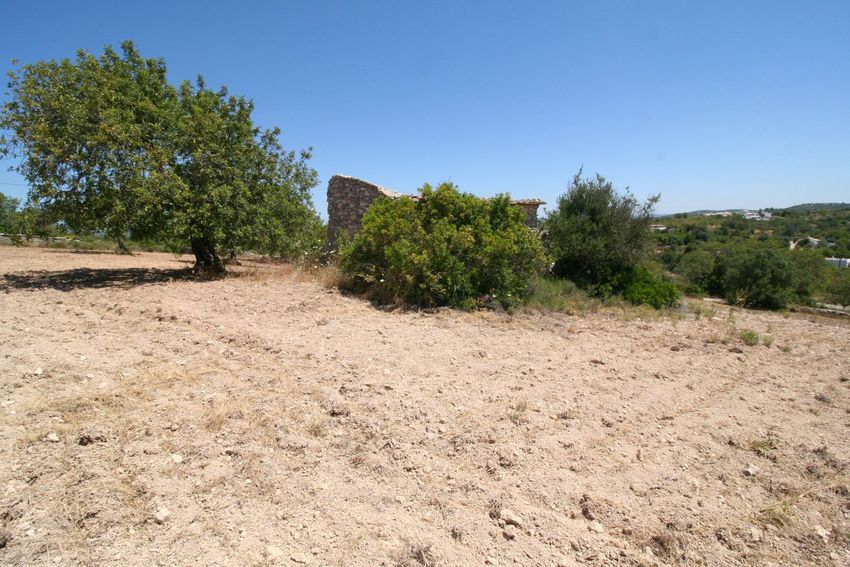 Imagem Jardim de  casa de aldeia em Vale da vaca