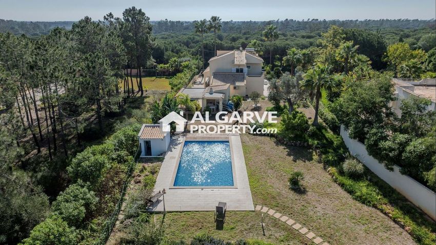 Imagem Piscina de  moradia independente em Caminho das Laranjeiras