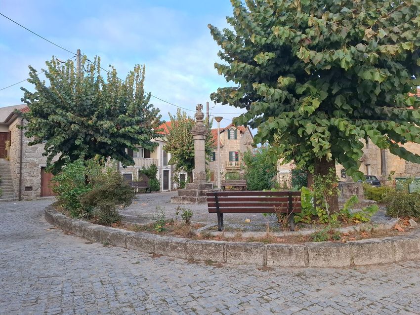 Imagem Jardim de  moradia geminada em Alvarelhos, 1