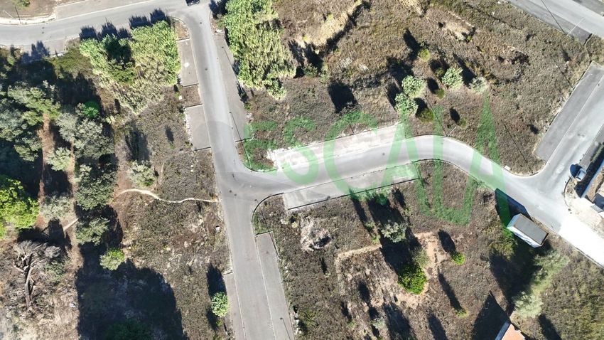 Imagem de terreno em Cartaxo e Vale da Pinta