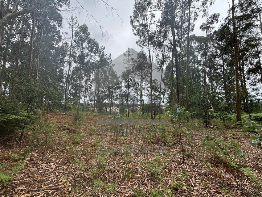 Imagem Jardim de terreno em Vila Chã