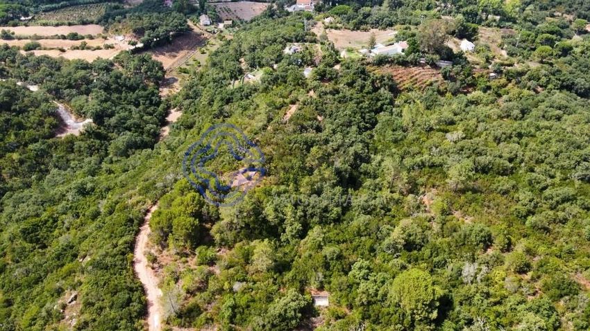 Imagem Vistas de terreno em Parque Natural da Arrábida