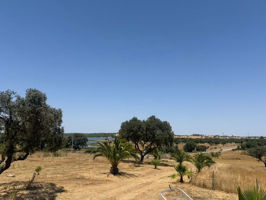 Imagem Jardim de  monte alentejano em N2, 558