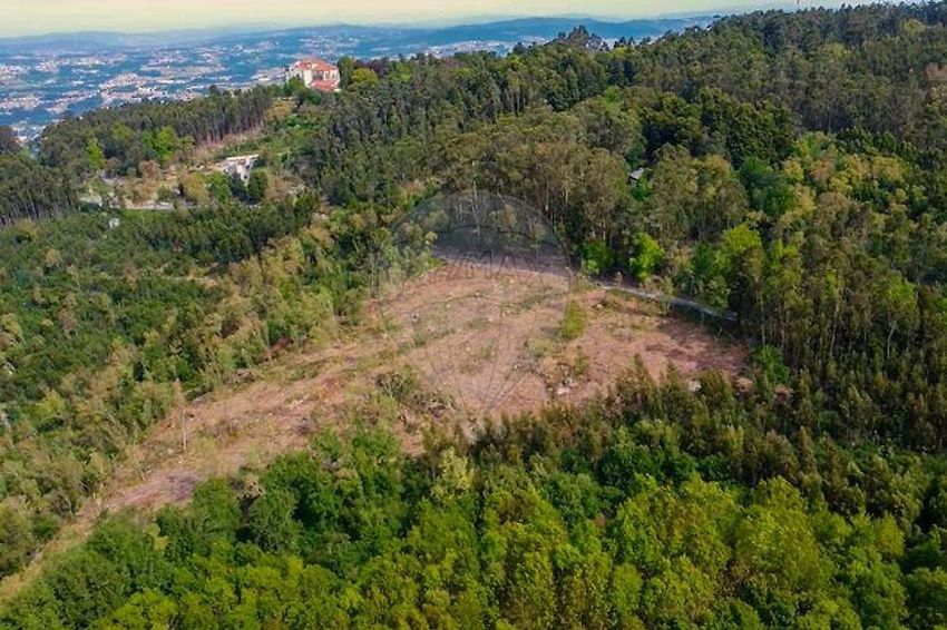 Imagem Vistas de terreno em Rua Central de Redundo