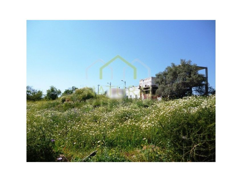 Imagem Jardim de  moradia geminada em Estoi