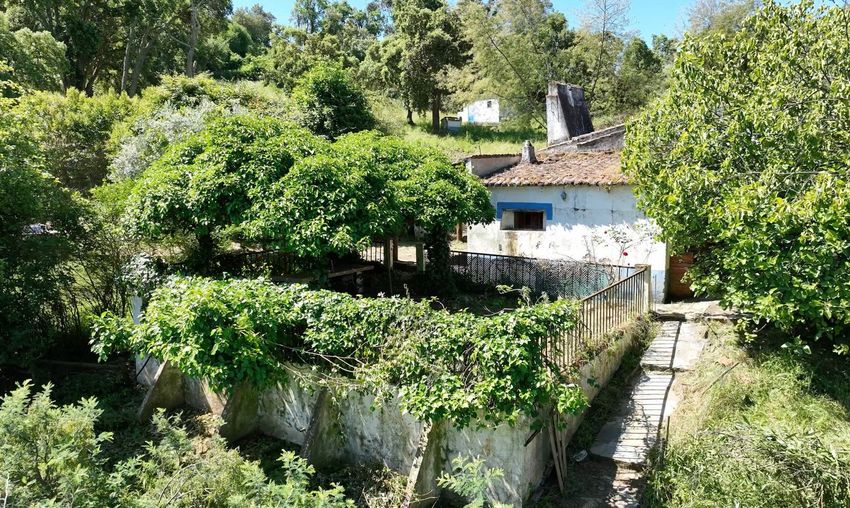 Imagem Jardim de  herdade em Serra d'ossa s/n