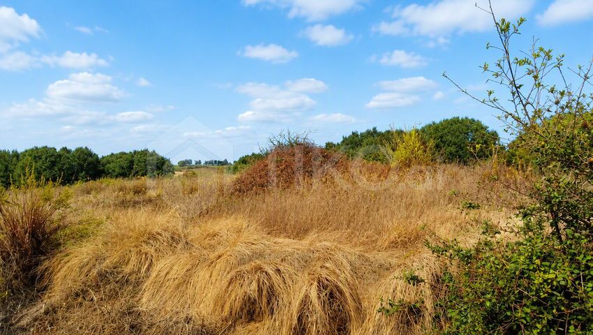 Imagem Vistas de terreno em Roliça
