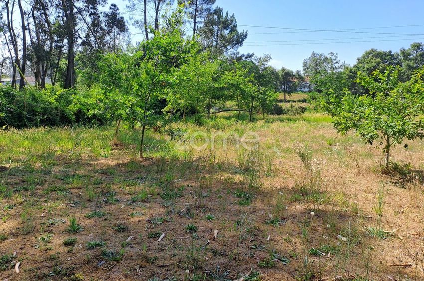 Imagem de terreno em Casal dos Cucos