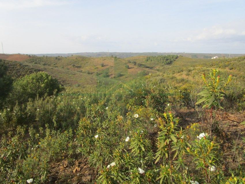 Imagem Vistas de terreno em Junqueira - Beliche