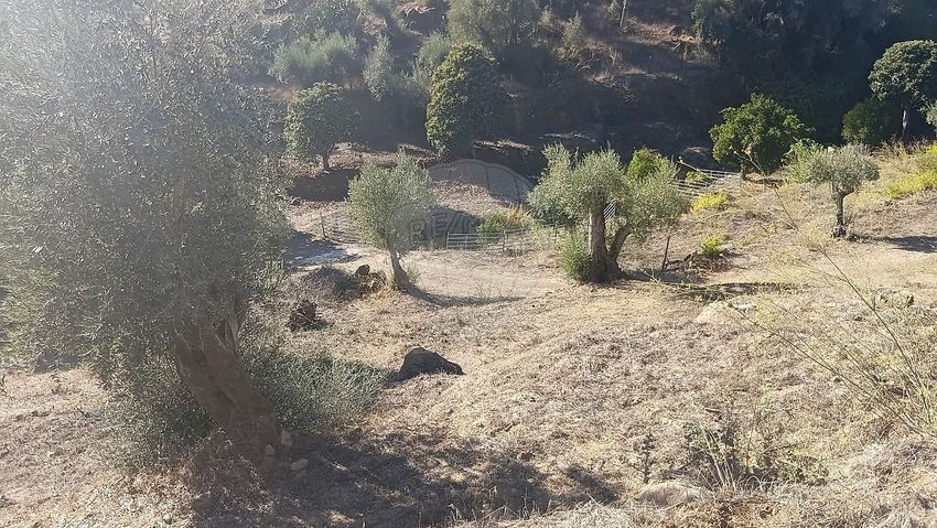 Imagem de terreno em Cantinho Dos Canenhos