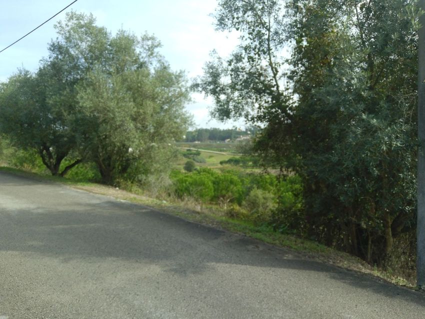 Imagem de terreno em Arrabal