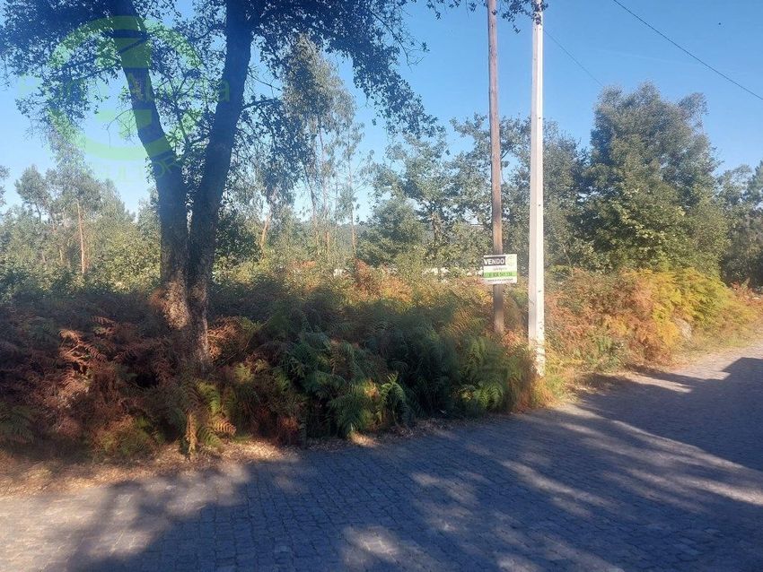Imagem de terreno em Rua Mirães s/n