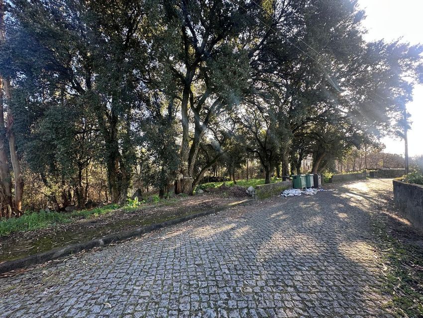 Imagem Jardim de terreno em Rua Carvalhiço