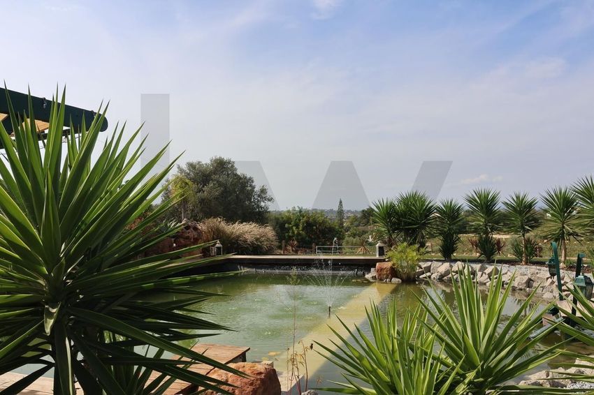 Imagem de  quinta em Salicos - Sesmarias - Boavista