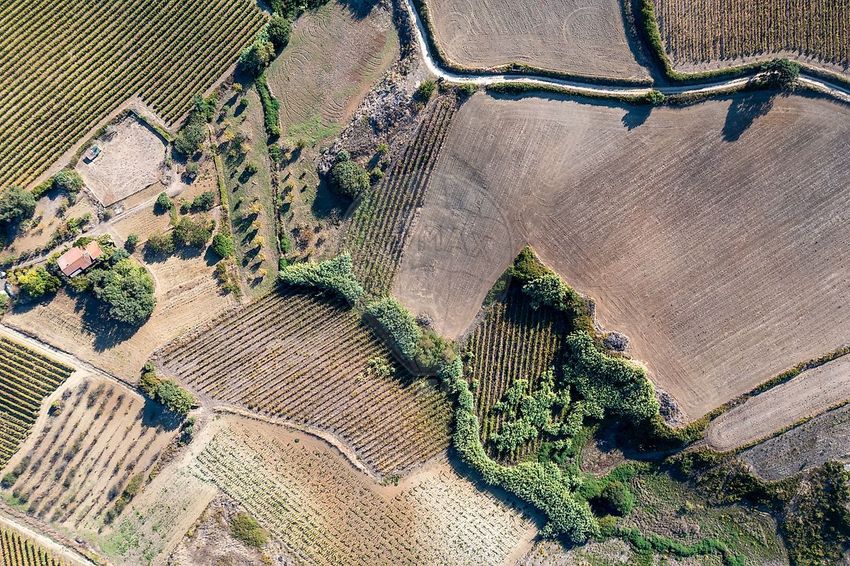 Зображення земельна ділянка, Ribafria e Pereiro de Palhacana