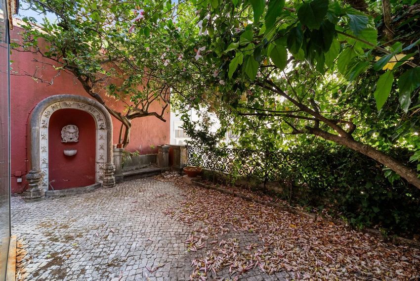 Зображення Сад, t0 (студія), Rua de São Caetano