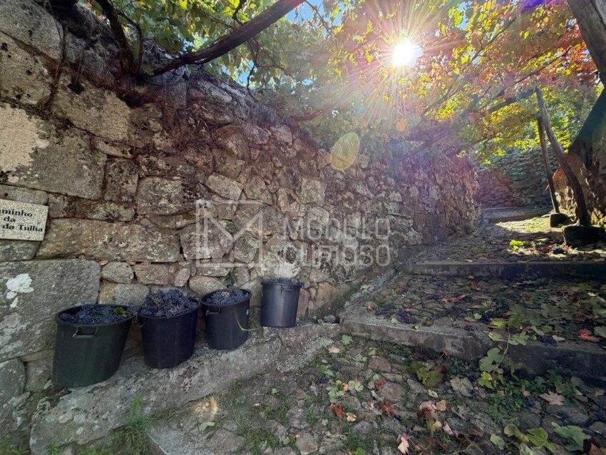 Imagem Jardim de  quinta em Rua da Tulha