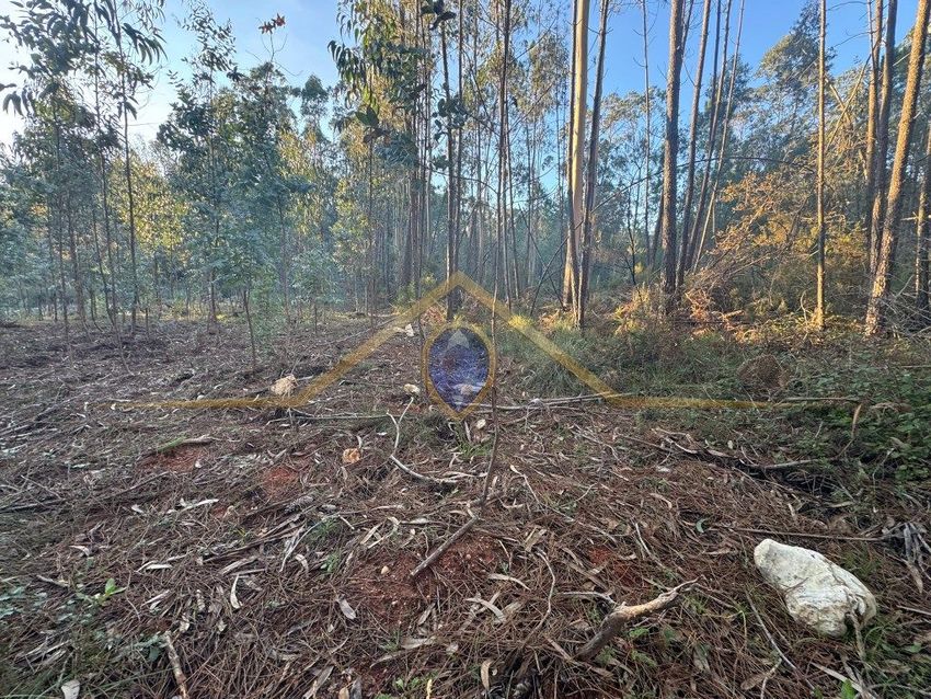 Imagem de terreno em Rua Chouso do Vale