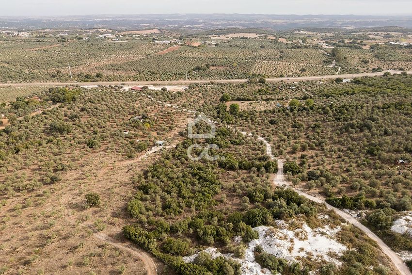 Imagem Vistas de terreno em Conceição