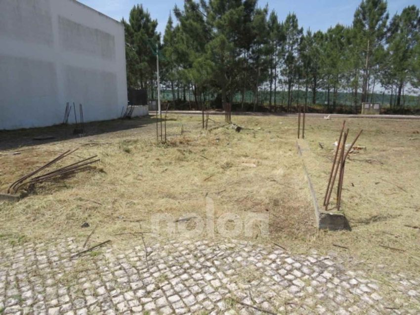 Imagem de terreno em Rua Alexandre o' Neil, 184 M-184