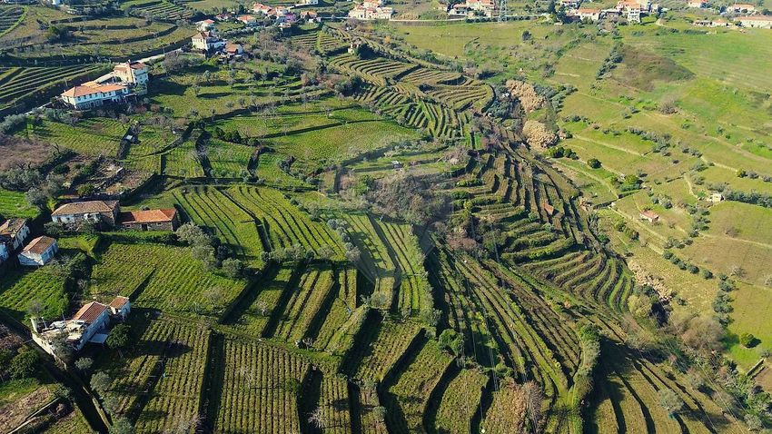 Зображення земельна ділянка, Caminho de Sorrêgo