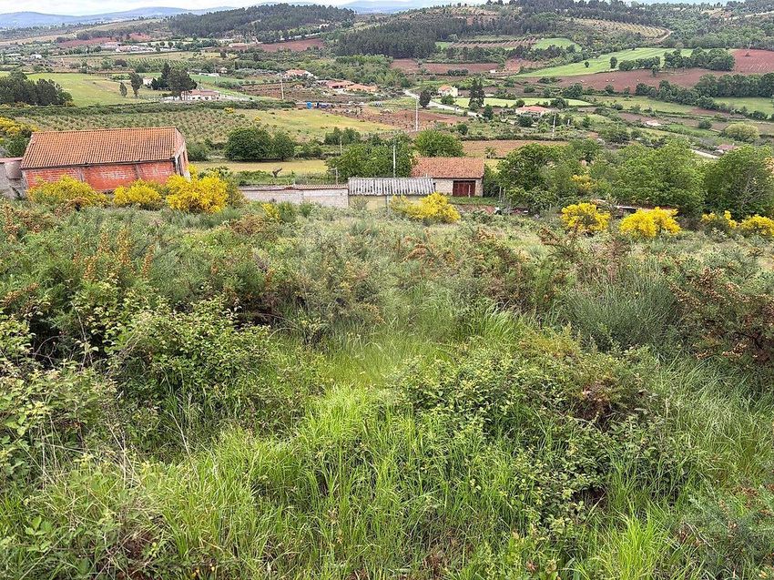 Imagem Vistas de terreno em Rua Doutor Trigo Negreiros