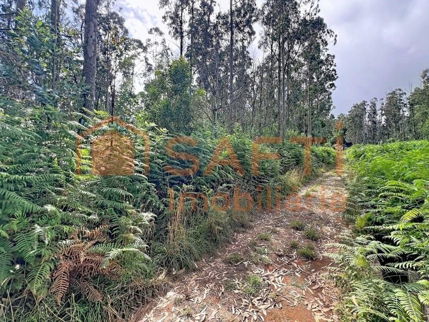 Imagem de terreno em Caminho da Portela, 23