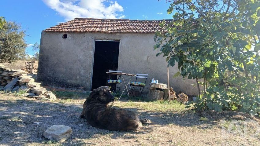 Imagem de terreno em Sarzedas