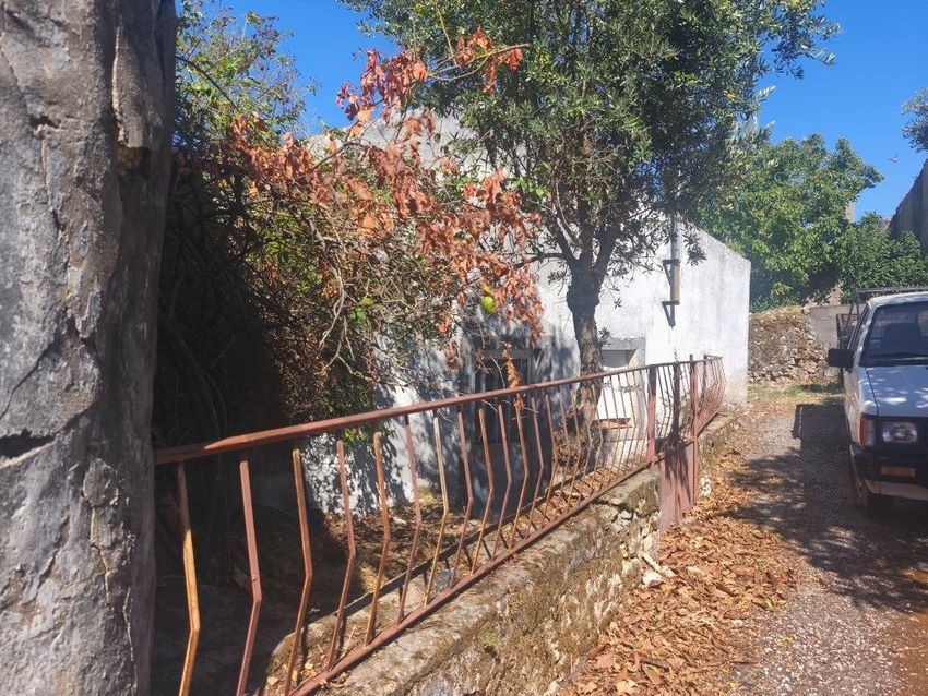 Imagem Jardim de  moradia independente em Assentiz