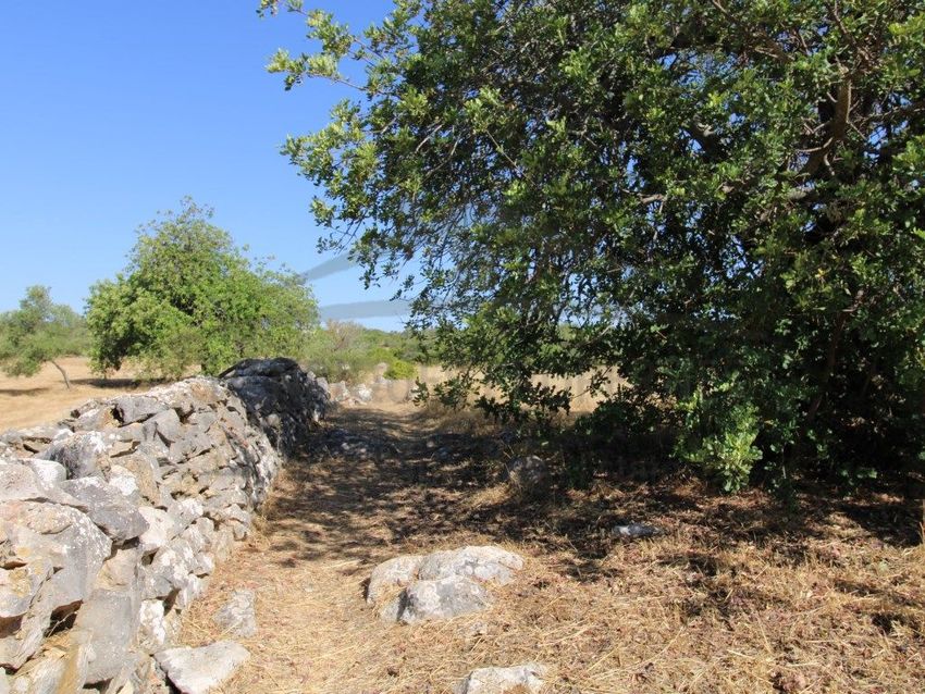 Imagem Jardim de  herdade em Moncarapacho