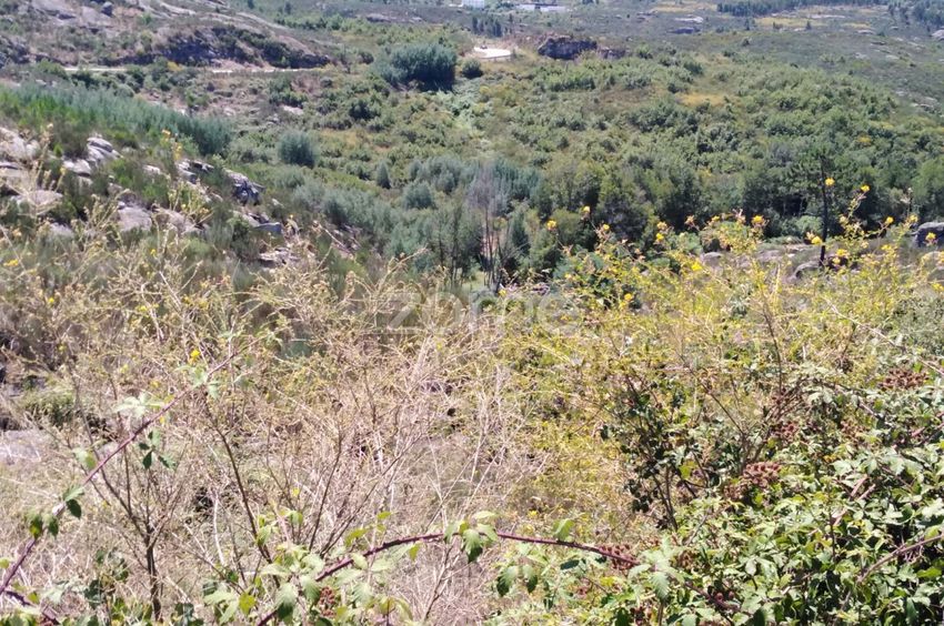 Imagem Terreno de terreno em Em504