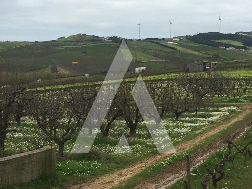 Imagem de terreno em Rua da Portela
