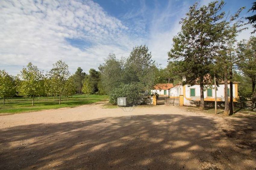Imagem de terreno em Ota