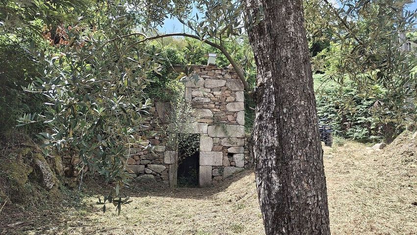 Imagem Jardim de  moradia independente em Calçada da Presalonga
