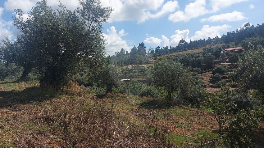 Imagem de terreno em Cantinho Dos Canenhos