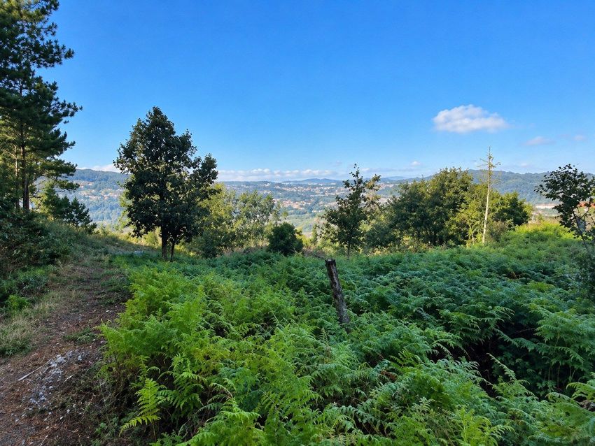 Imagem Terreno de terreno em Lustosa