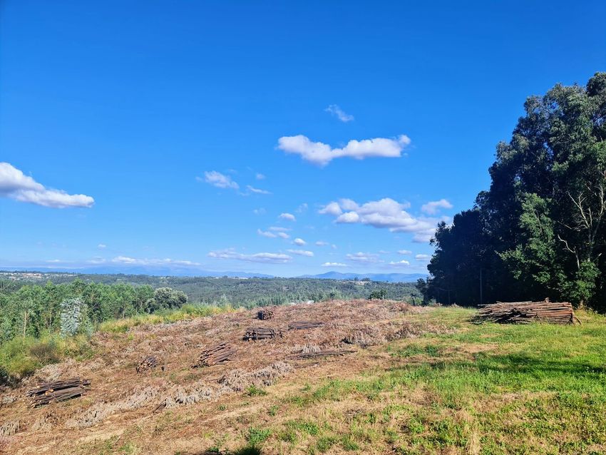 Imagem Vistas de terreno em Rua Cabecinha de Rei Sn