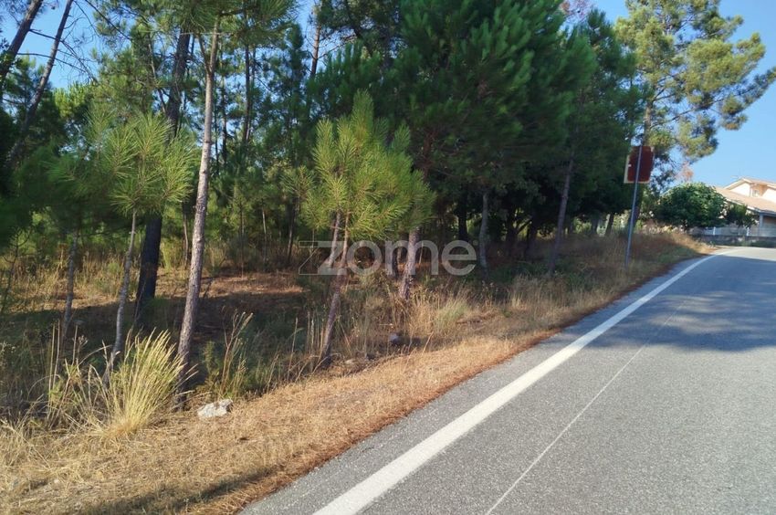 Imagem de terreno em Largo Santa Marinha, 46
