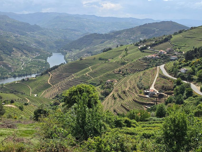 Imagem Vistas de terreno em Lugar da Corredoura s/n