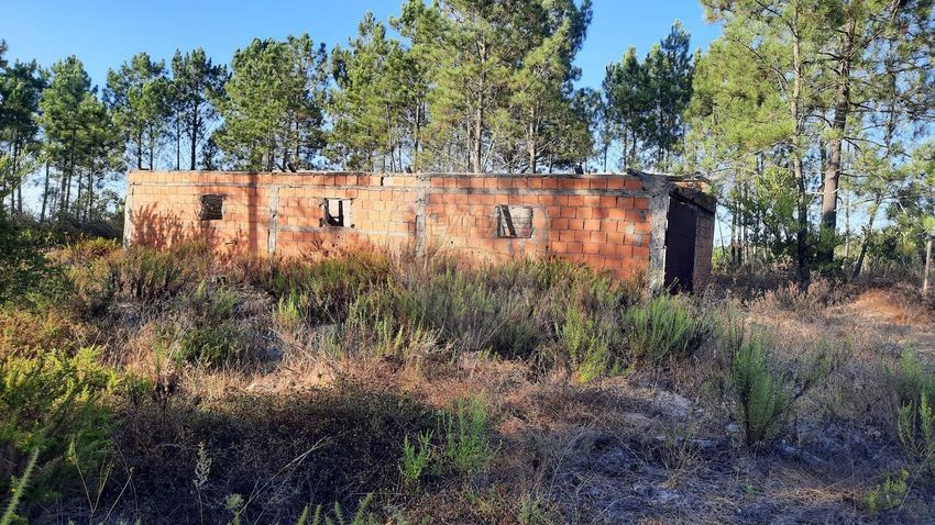 Imagem de terreno em Rogil