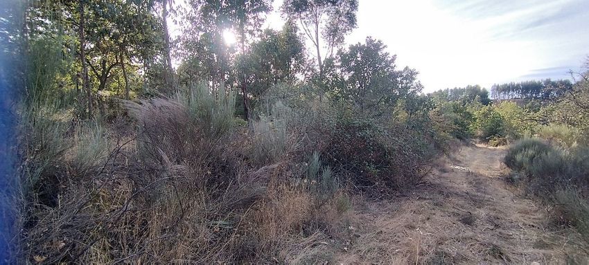 Imagem de terreno em Avenida dos Mordomos