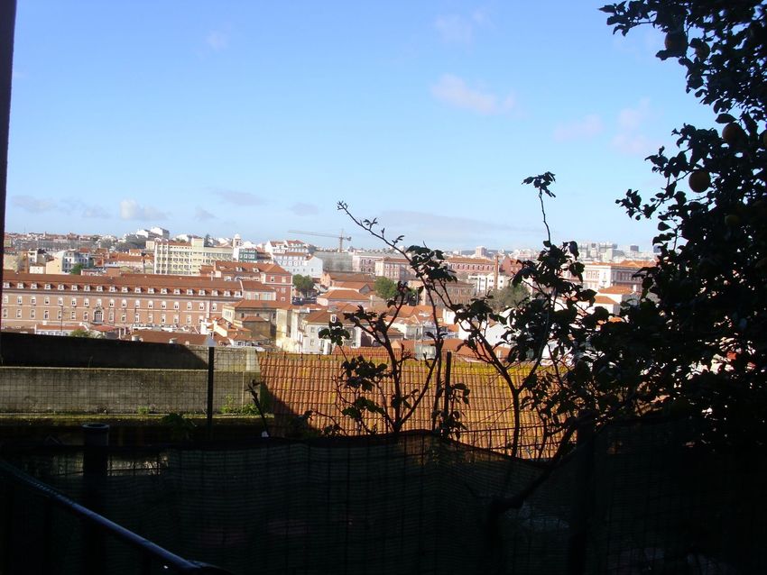 Imagem Vistas de apartamento t1 em Escadas do Monte, 4